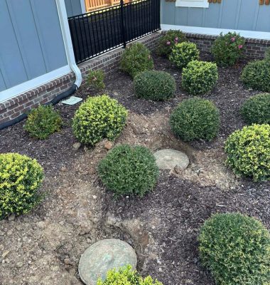 Newly maintained septic tanks.